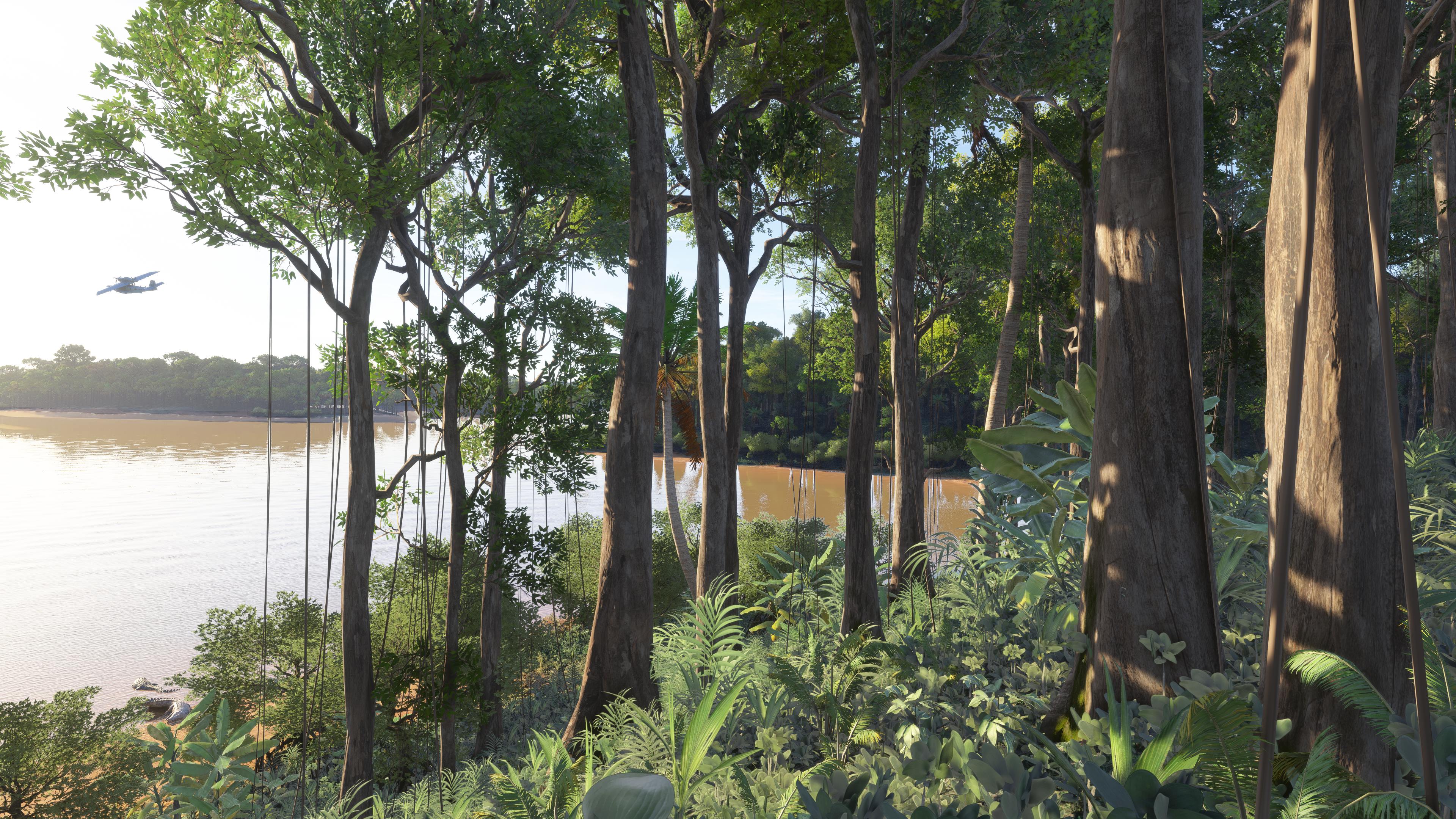 Microsoft Flight Simulator 2024 - Imagen 23